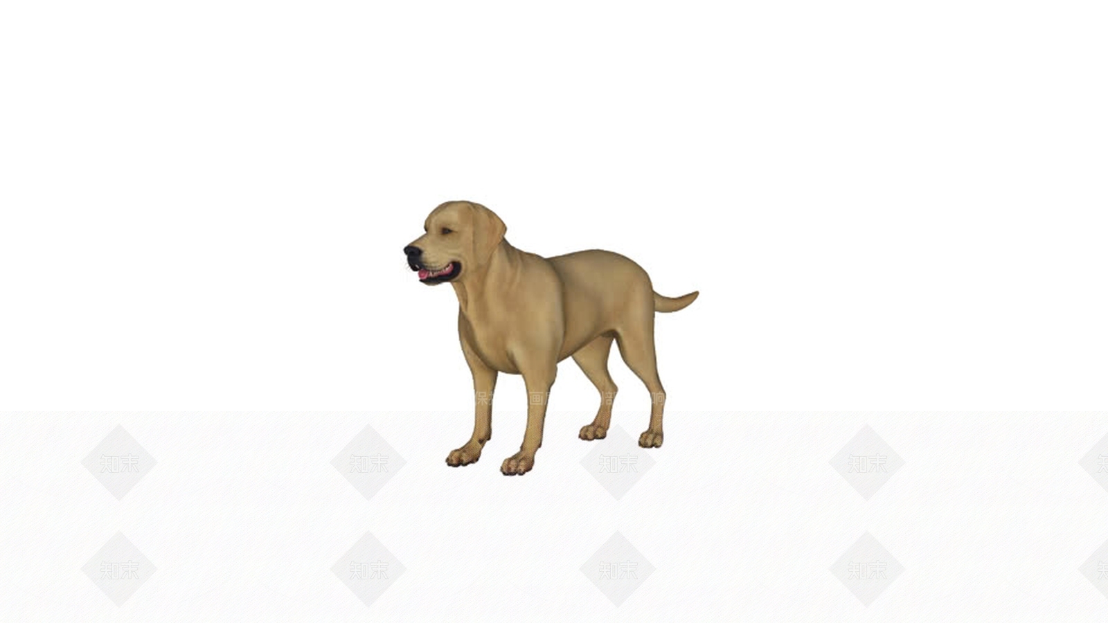 狗SU模型下载【ID:1162350262】