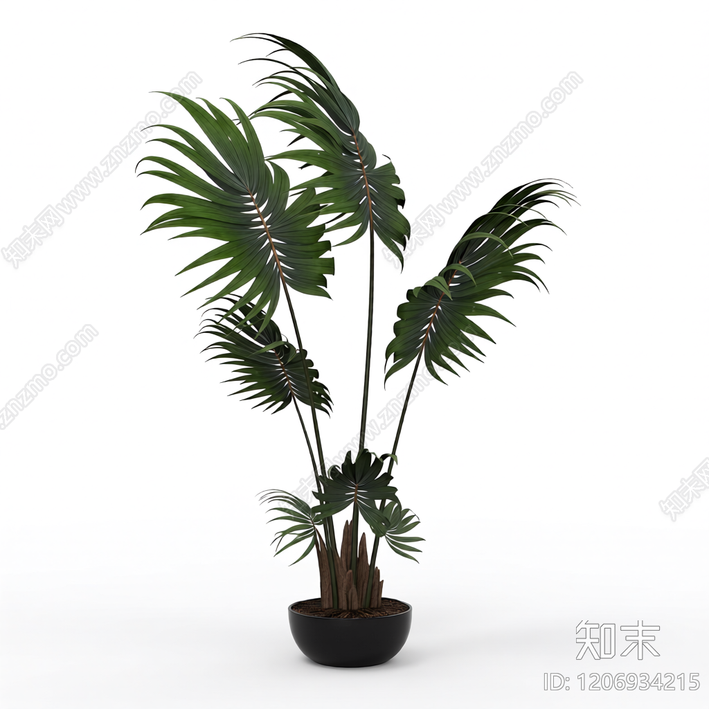 盆栽棕榈植物3D模型下载【ID:1206934215】