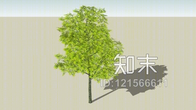 鲜叶（改性智能树）SU模型下载【ID:121566611】