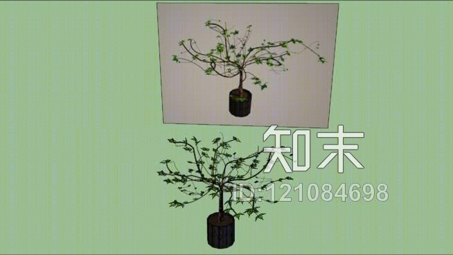 树木植物SU模型下载【ID:121084698】