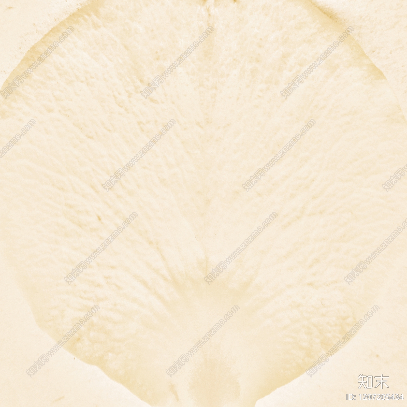 硅藻泥贴图下载【ID:1207205434】