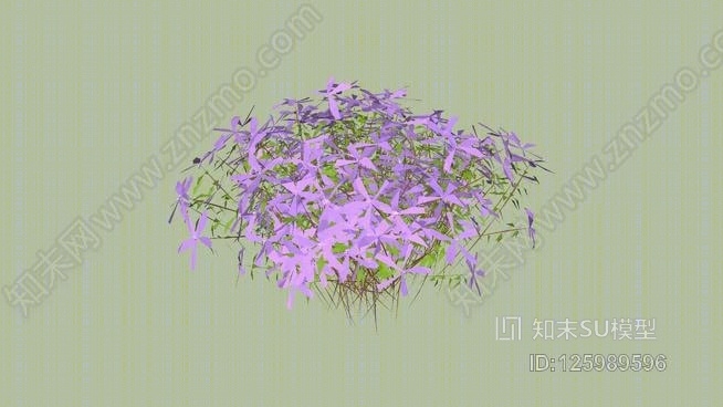 粉红/紫色花SU模型下载【ID:125989596】