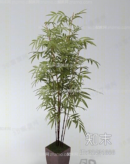 盆栽143D模型下载【ID:32431888】