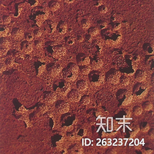 墙砖贴图下载【ID:263237204】