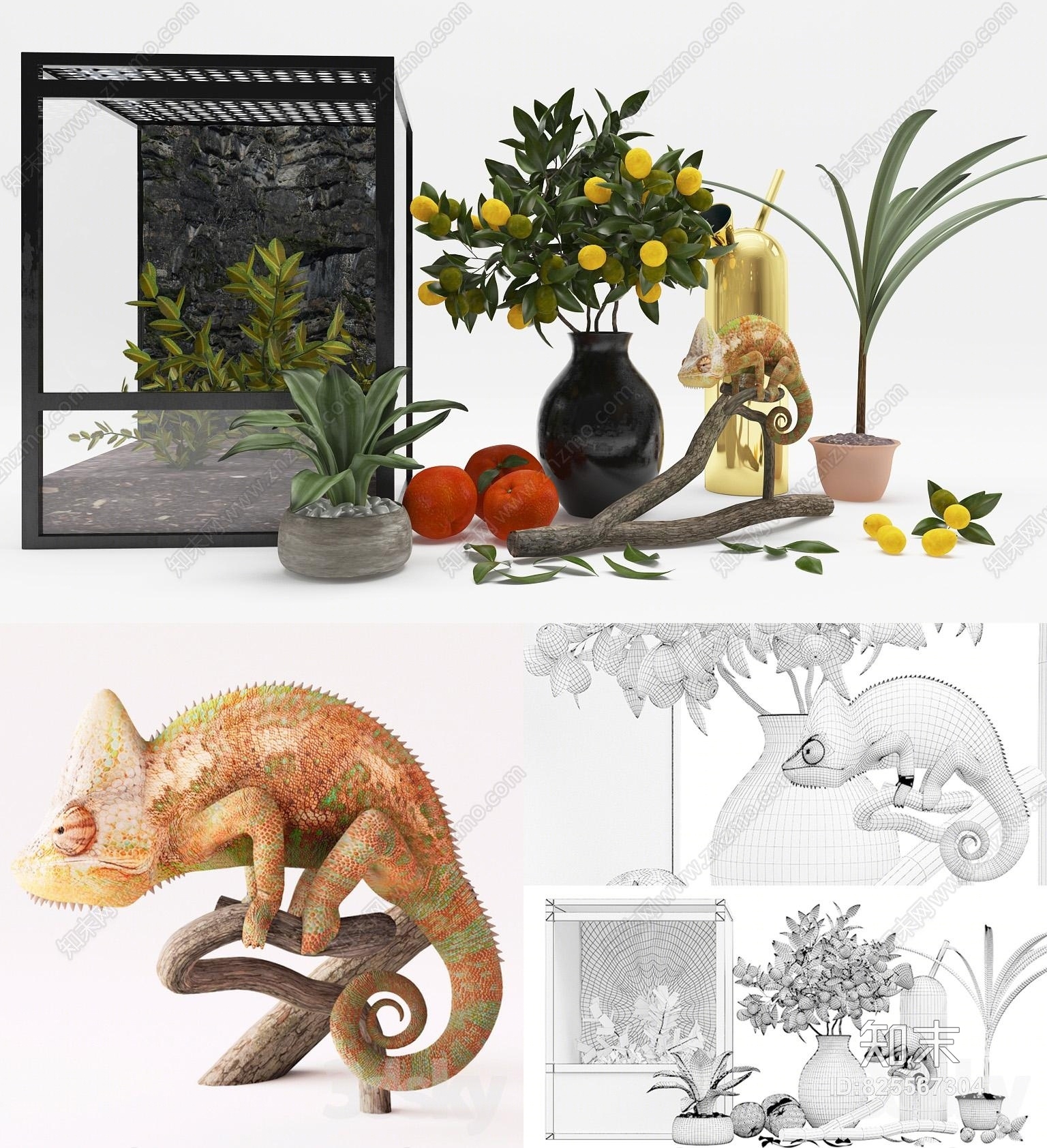 现代植物变色龙3D模型下载【ID:825567304】