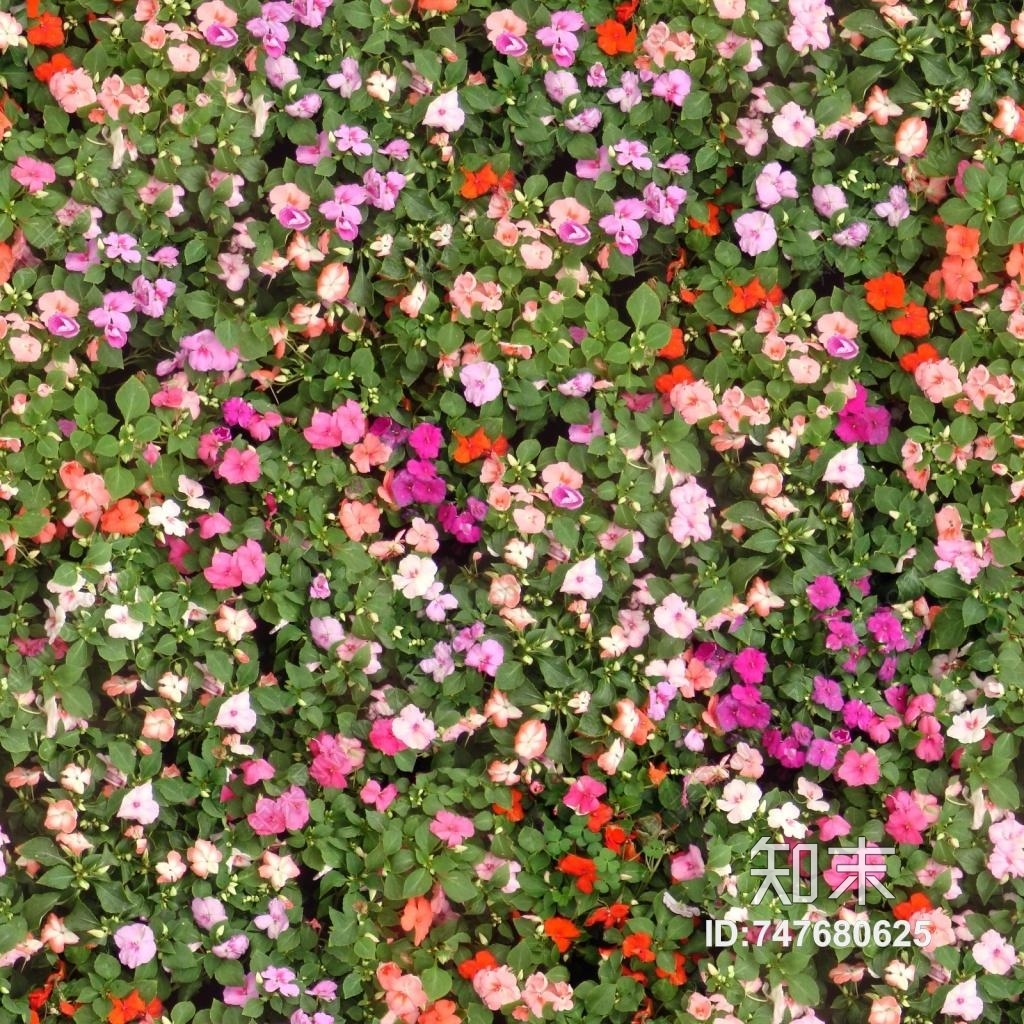 747680625】_自然元素鲜花花卉灌木植物高清材质材质贴图免费下载