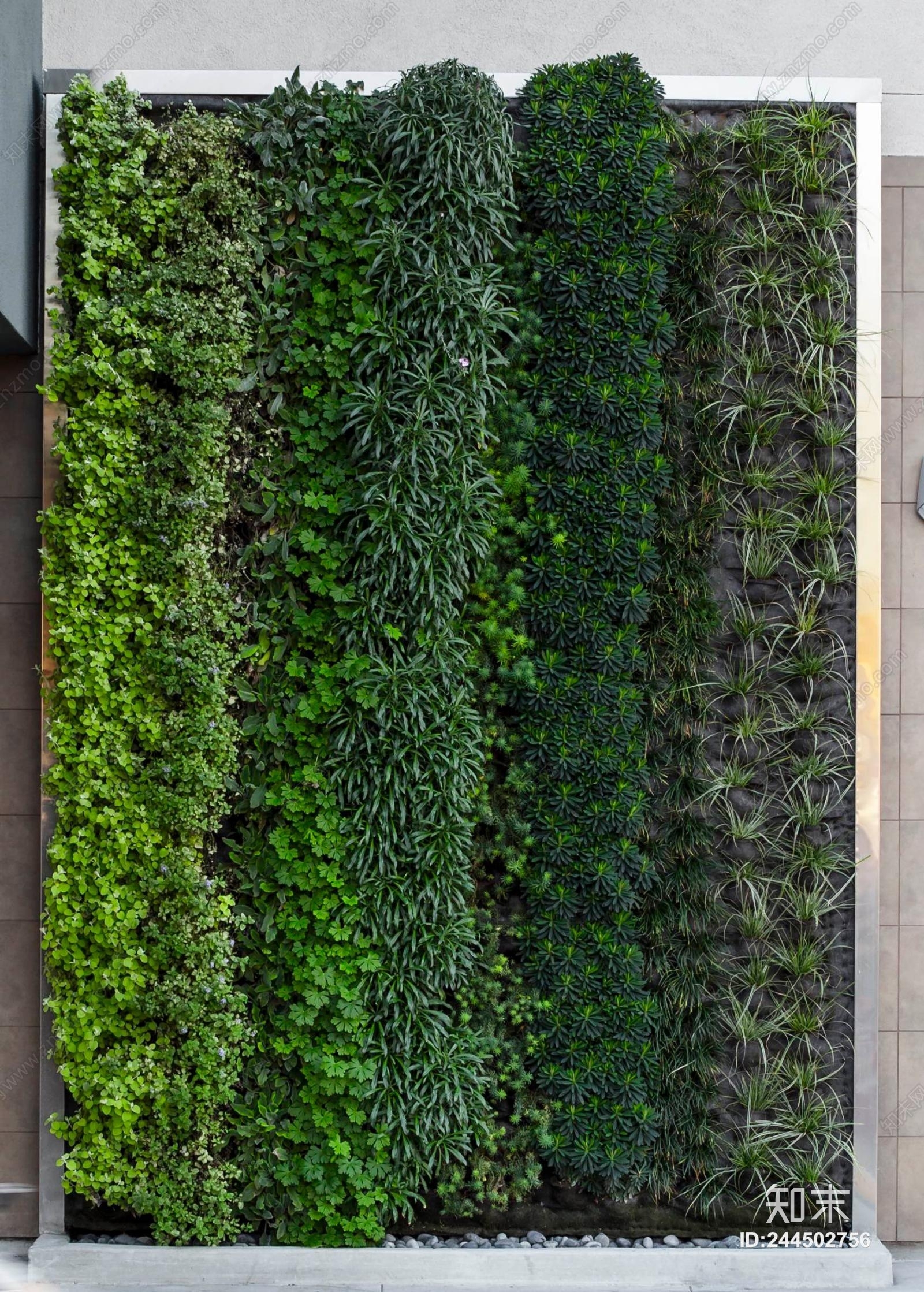 植物墙贴图下载