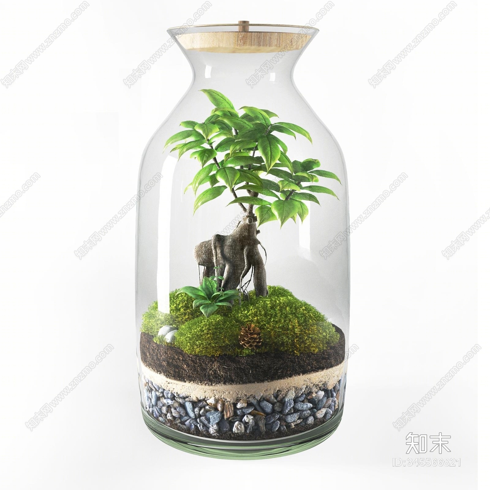 现代水生植物3D模型下载【ID:345566821】