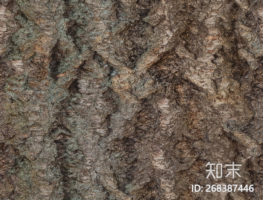 树皮贴图下载【ID:268387446】