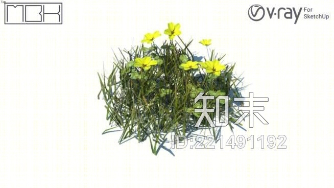 草，高聚合，VRY准备（025）SU模型下载【ID:221491192】