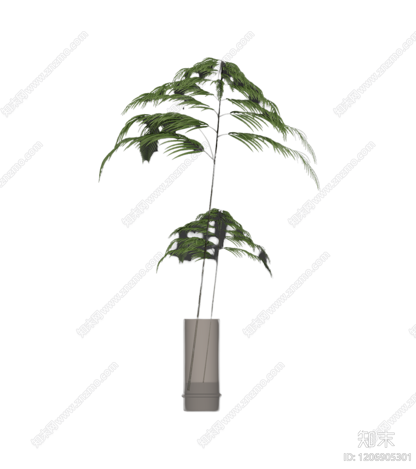 盆栽蕨类植物3D模型下载【ID:1206905301】