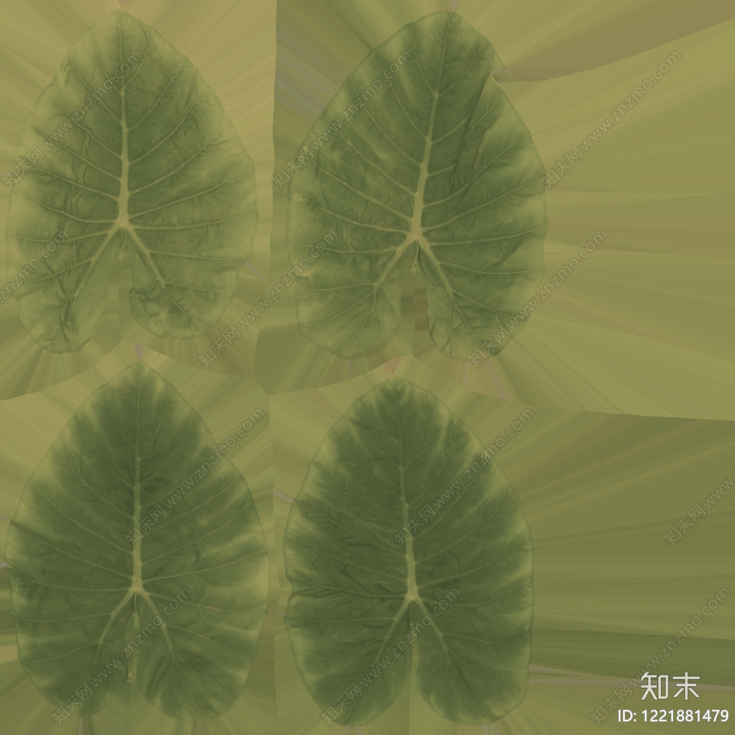 植物壁纸高清贴图材质