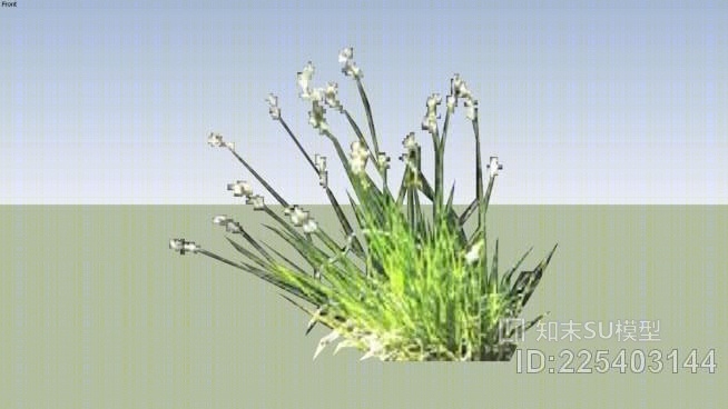 青蒿SU模型下载【ID:225403144】