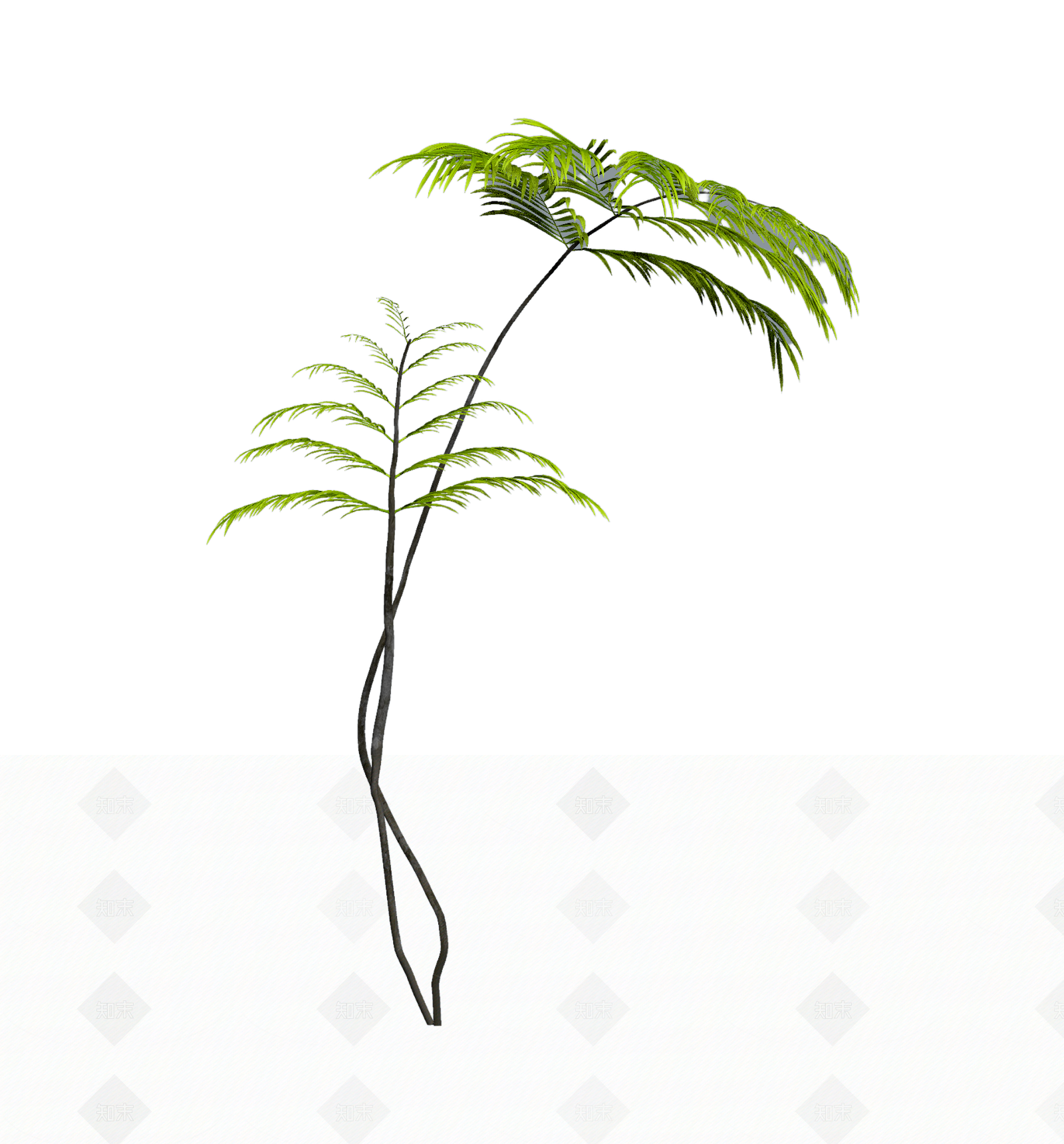 绿色枝叶植物模型3D模型下载【ID:1206184101】