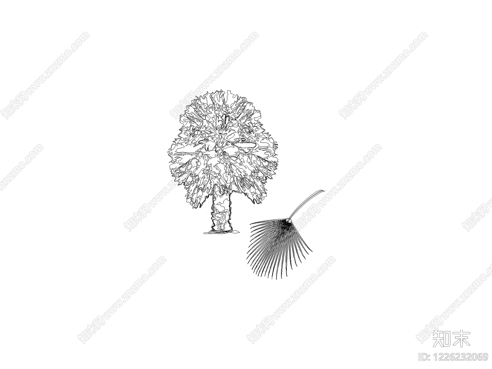 现代乔木种植CAD图纸
