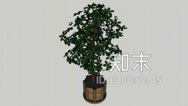 室内植物1SU模型下载【ID:620897945】