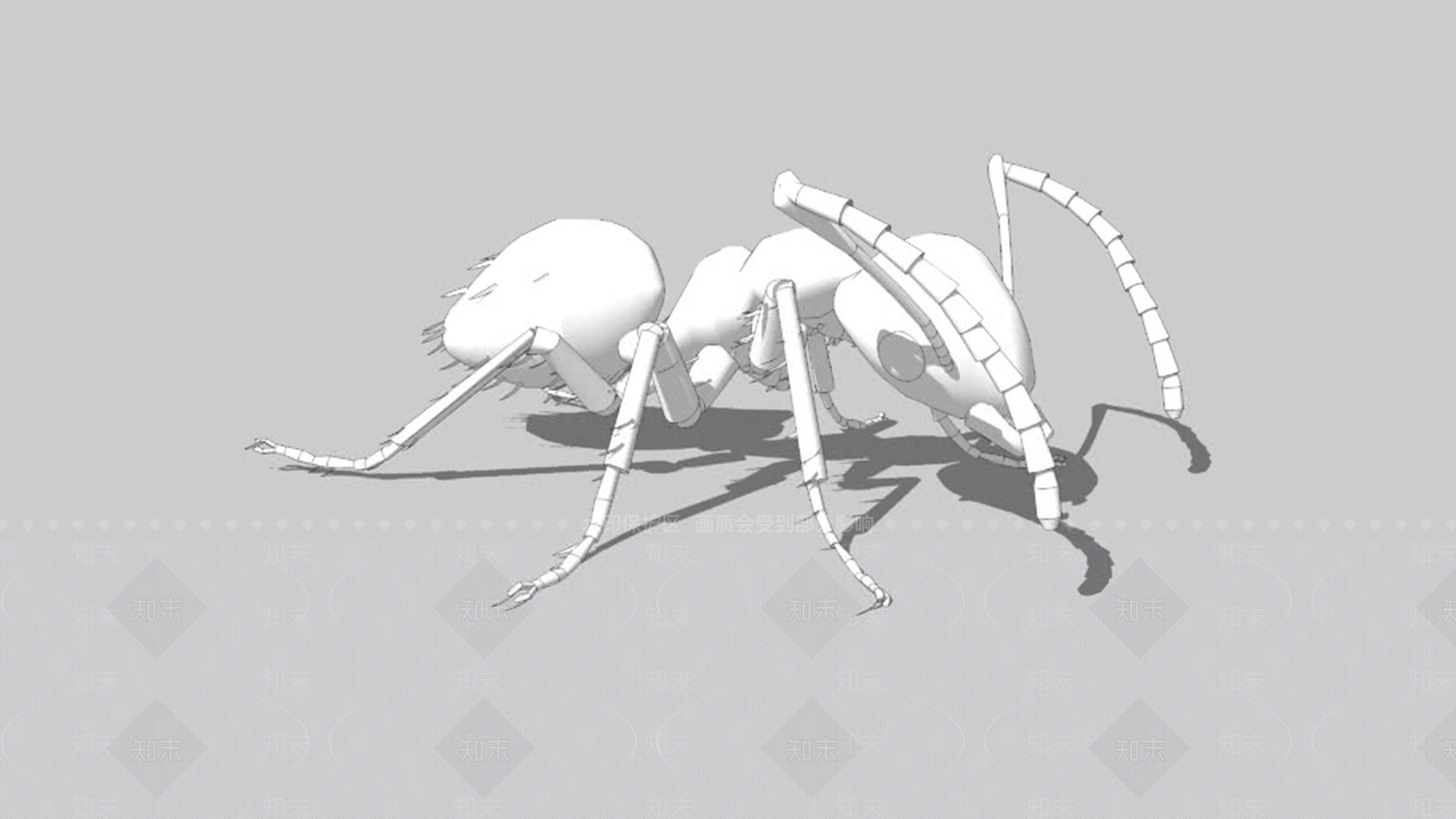 AntSU模型下载【ID:1162132493】