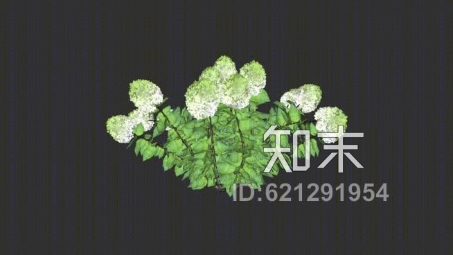绣球花3-绣球花'聚光灯'SU模型下载【ID:621291954】