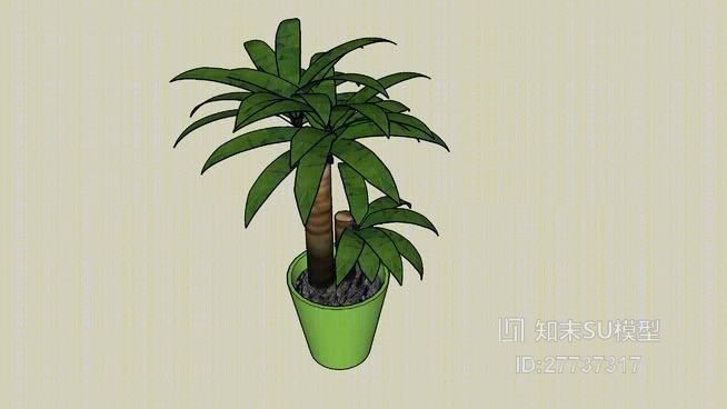 盆栽SU模型下载【ID:27737317】