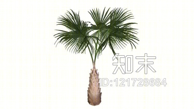 棕榈树02SU模型下载【ID:121728684】