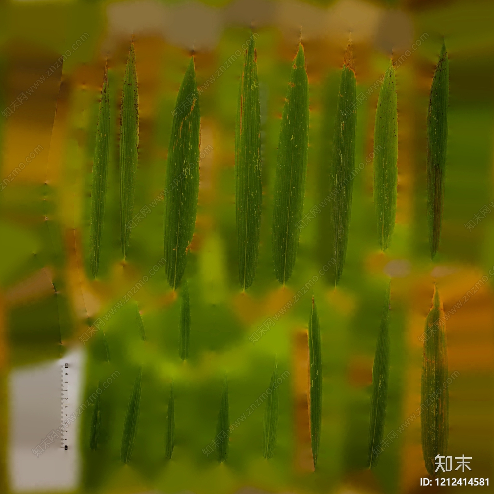 叶片纹理贴图下载【ID:1212414581】