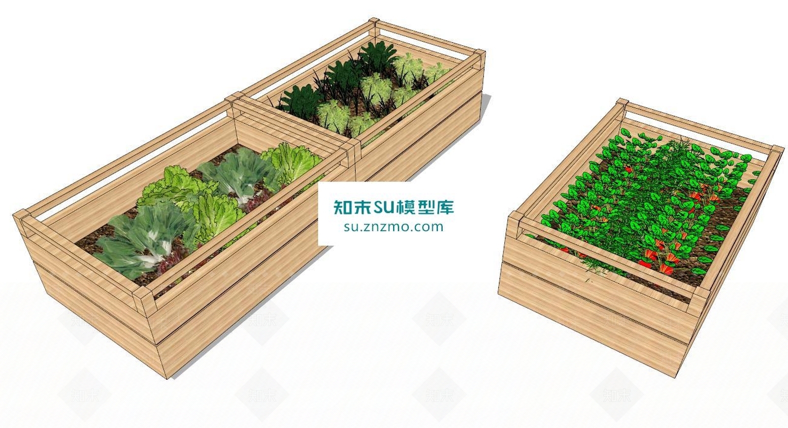 蔬菜SU模型下载【ID:171086152】