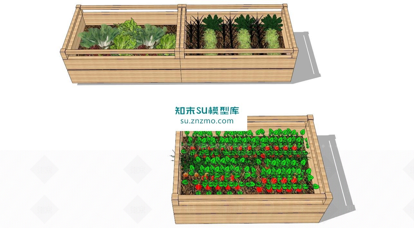 蔬菜SU模型下载【ID:171086152】