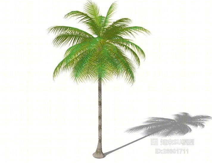 3D棕榈科植物SU模型下载【ID:26601711】