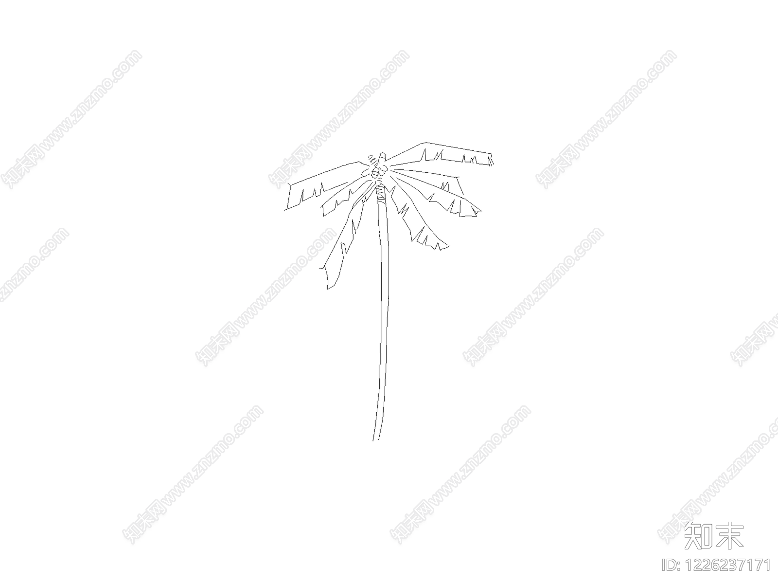 现代乔木种植CAD图纸