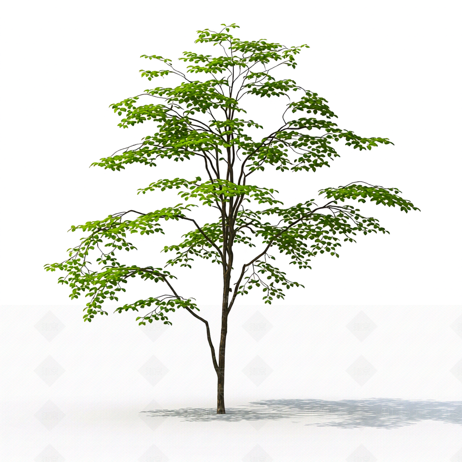 完整树木模型3D模型下载【ID:1206193830】