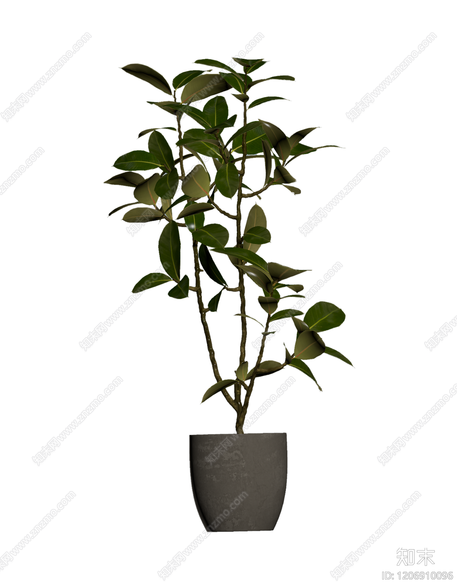 盆栽植物装饰3D模型下载【ID:1206910096】