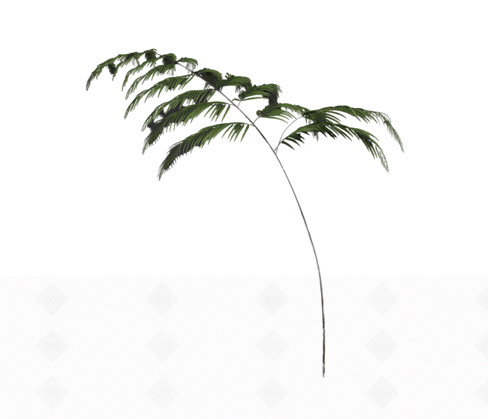 绿色枝叶植物模型3D模型下载【ID:1206192480】