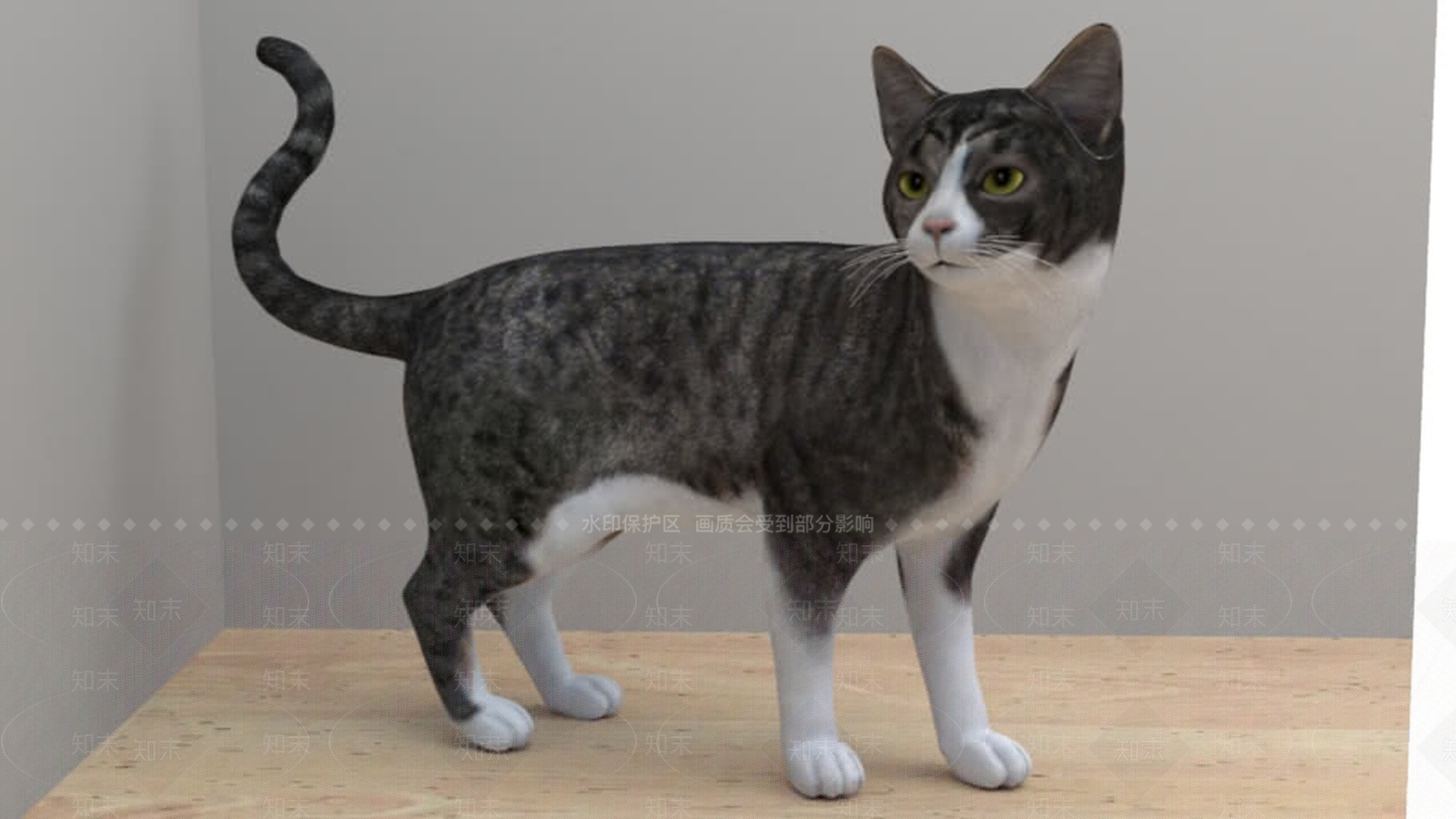 猫SU模型下载【ID:1162597748】