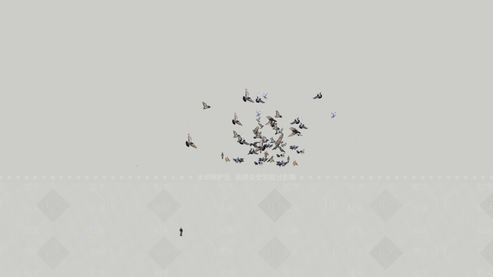 鸟儿在天空飞翔SU模型下载【ID:1161709600】