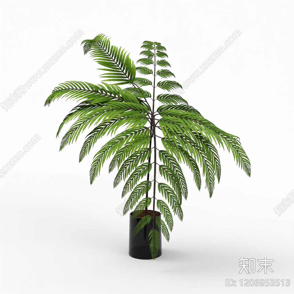 盆栽蕨类植物3D模型下载【ID:1206953513】