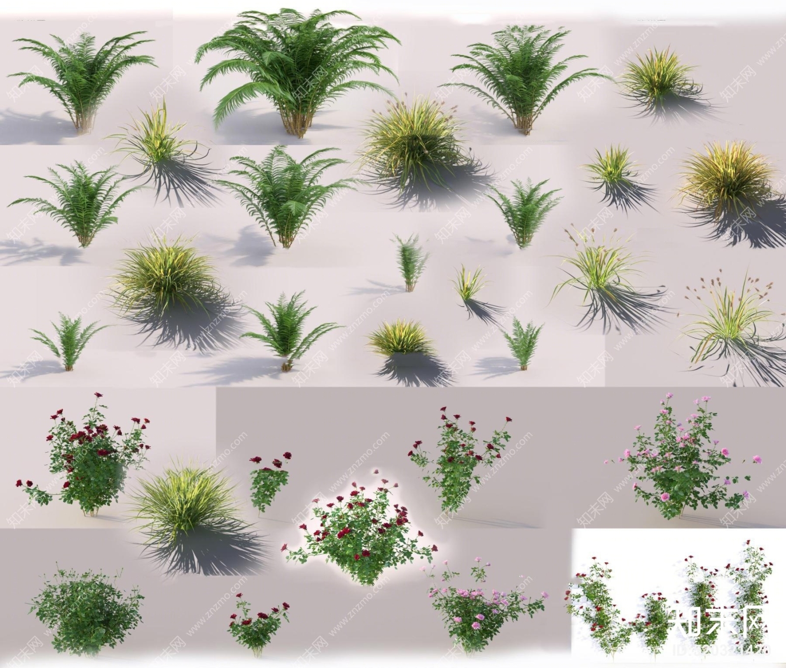 现代花草3D模型下载【ID:520321420】