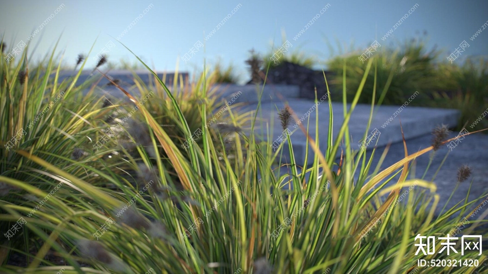 现代花草3D模型下载【ID:520321420】
