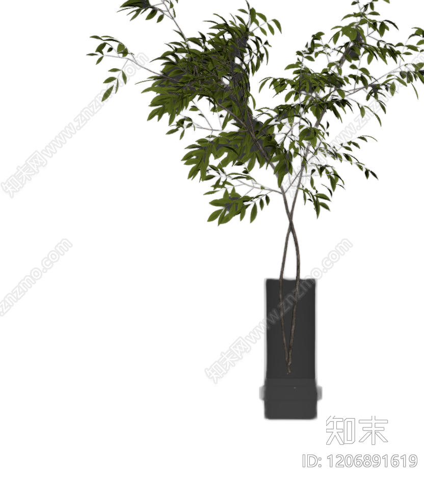 盆栽植物带花盆3D模型下载【ID:1206891619】