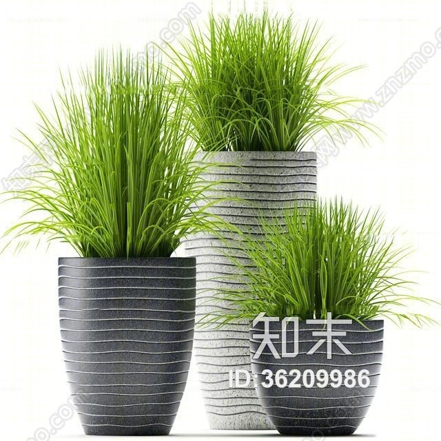 现代植物盆栽组合3D模型下载【ID:36209986】