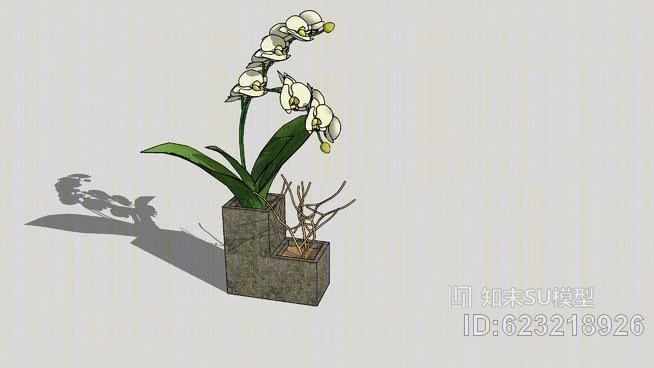 兰花总科SU模型下载【ID:623218926】