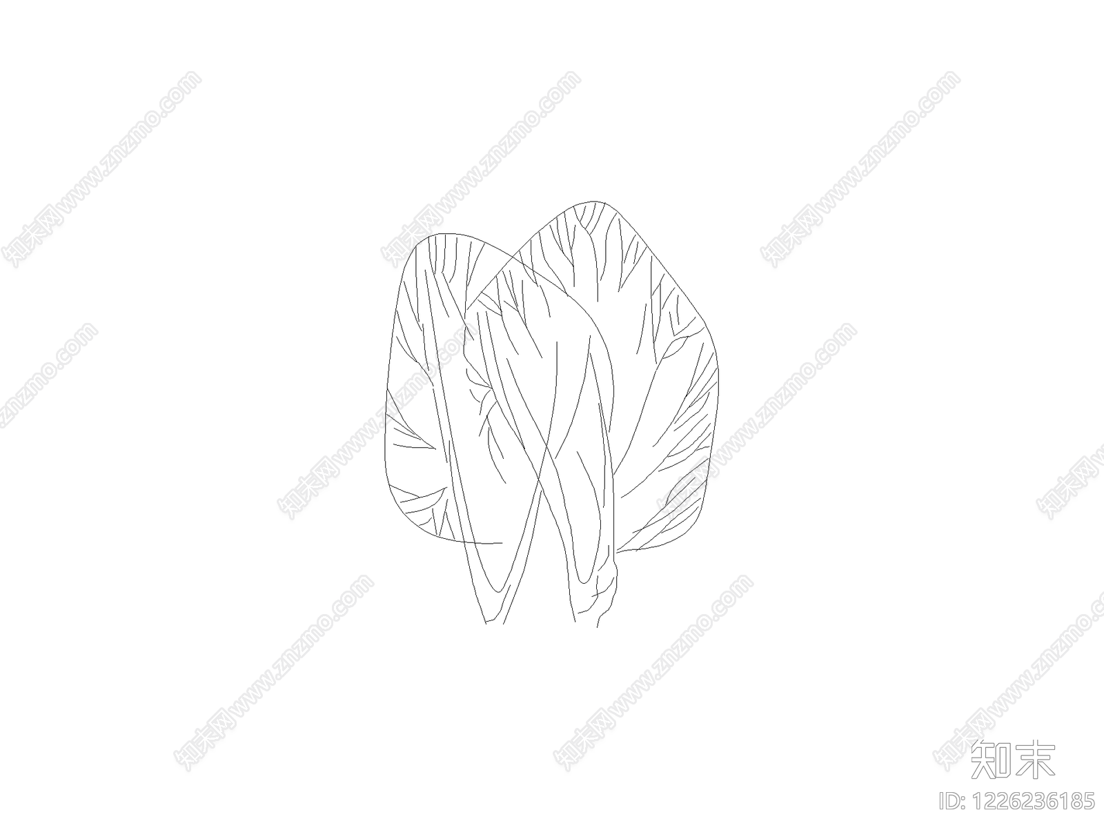 现代绿植CAD图纸