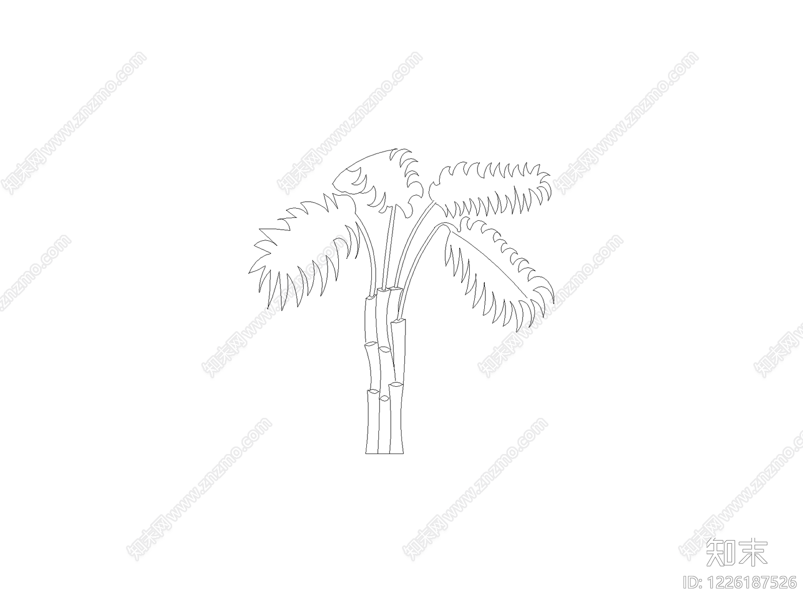 乔木种植CAD图纸