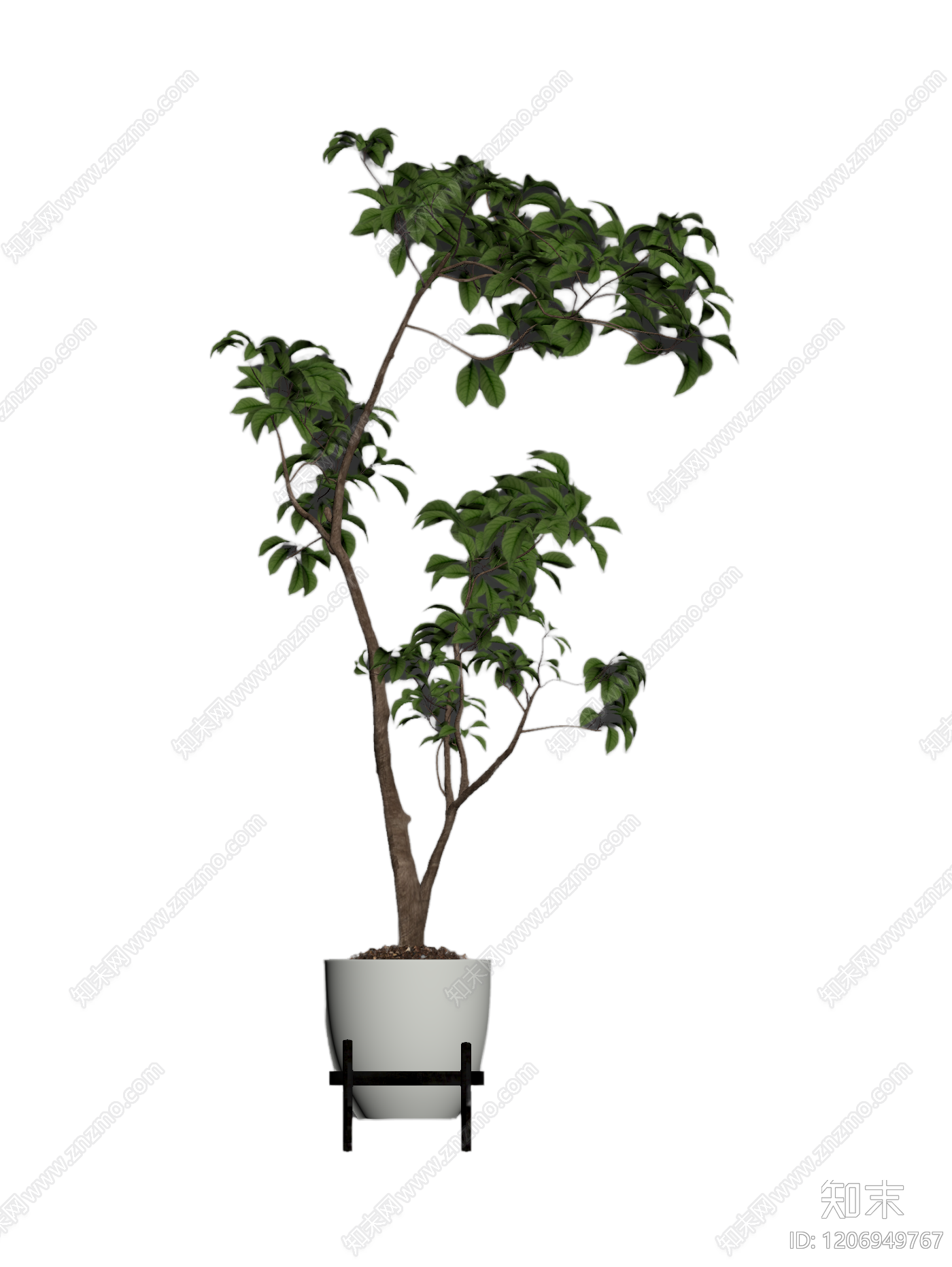 盆栽植物带花盆3D模型下载【ID:1206949767】