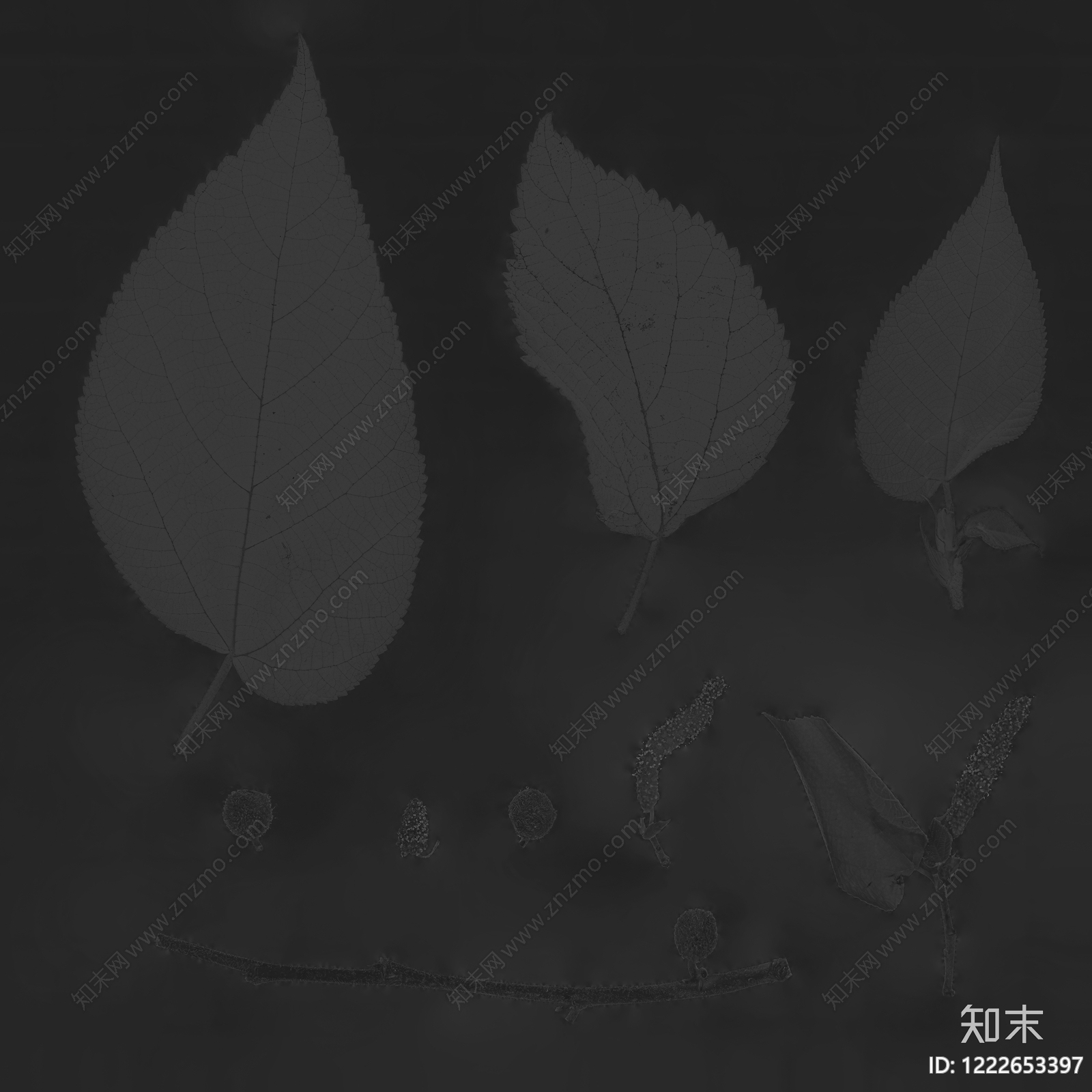植物壁纸高清贴图材质