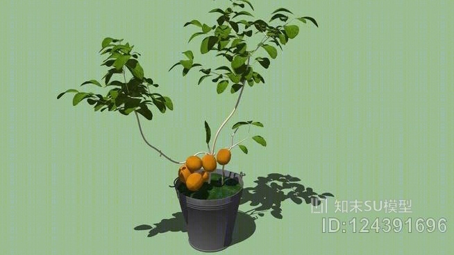 小树SU模型下载【ID:124391696】