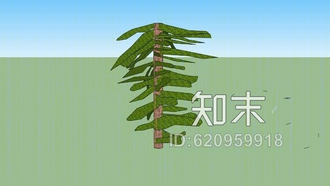 三维的松树SU模型下载【ID:620959918】