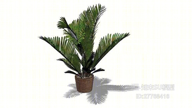 盆栽SU模型下载【ID:27768416】
