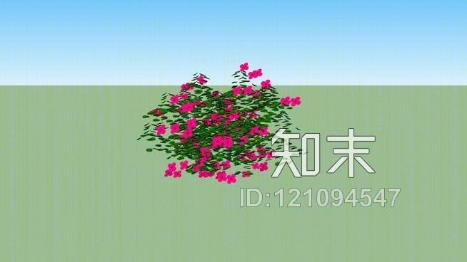 天竺葵花卉geranioSU模型下载【ID:121094547】