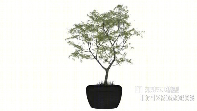 树SU模型下载【ID:125059608】