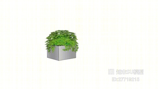 盆栽SU模型下载【ID:27719215】